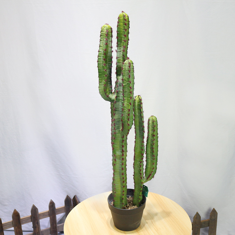 New-Style-Plastic-Saguaro-Cactus-Buy-Artificial-Cactus-Plant-at-Toronto-Cactus-and-Succulent-Club (4).jpg